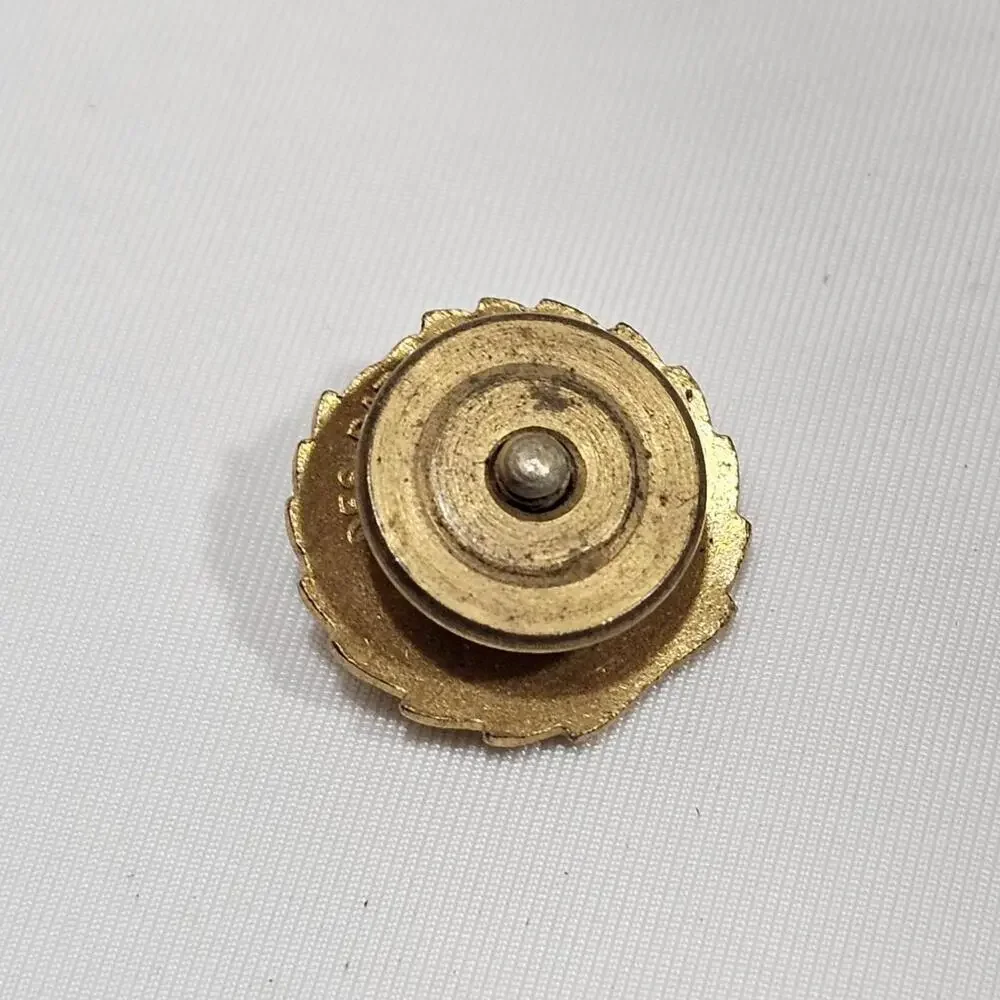 Vintage Amvets Lapel Pin American Veterans of WWII World War II Eagle Screw Back - Picture 2 of 3